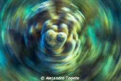 Pinacle in Movement, Gardens of the Queen  Cuba by Alejandro Topete 